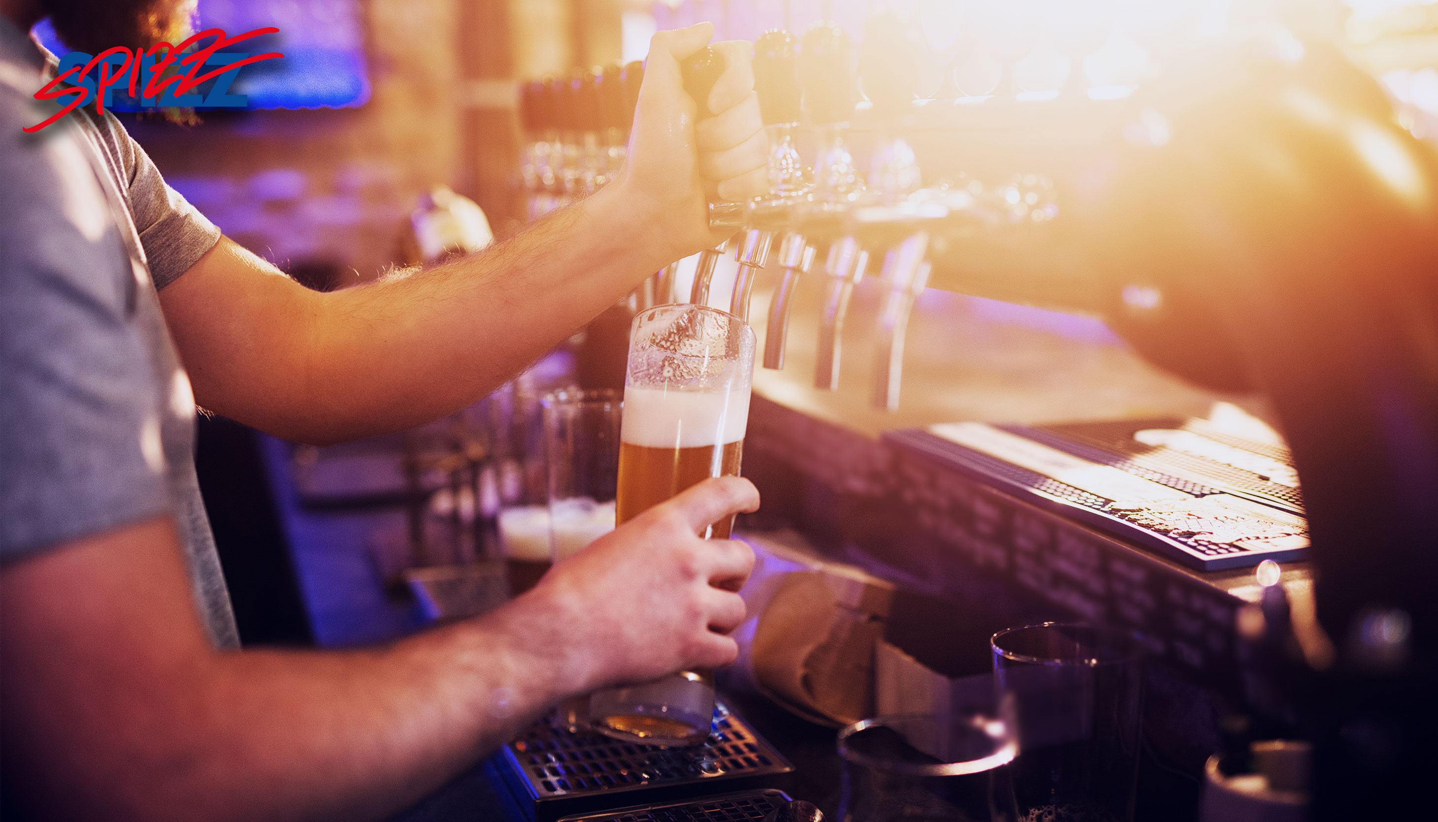 Kellner / Service (m/w/d) - Spizz Leipzig