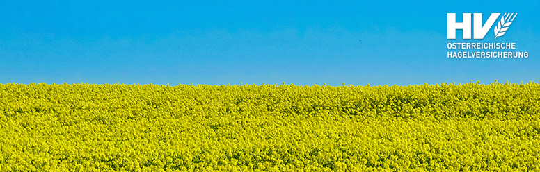 Landwirtschaftsexperte für die Projektmitarbeit „Marktevaluierung Ukraine“ (m/w/d)