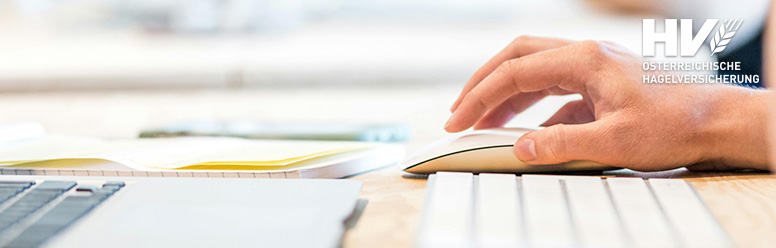 Mitarbeiter Rechnungswesen mit Fokus auf Bilanzbuchhaltung (m/w/d)