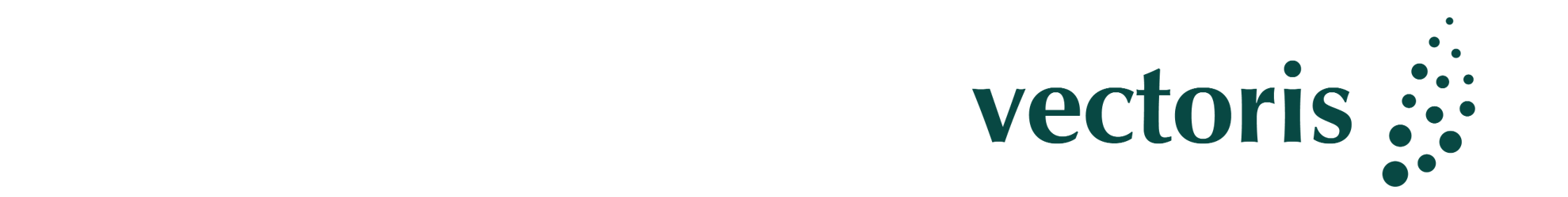 (Junior) Management Consultant