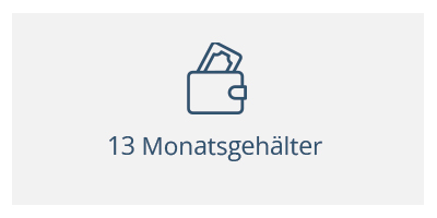 - leistungsgerechtes Gehalt, Urlaubs- und Weihnachtsgeld